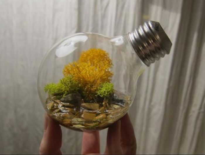 plants art from old light bulbs