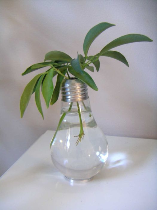 plants art from old light bulbs