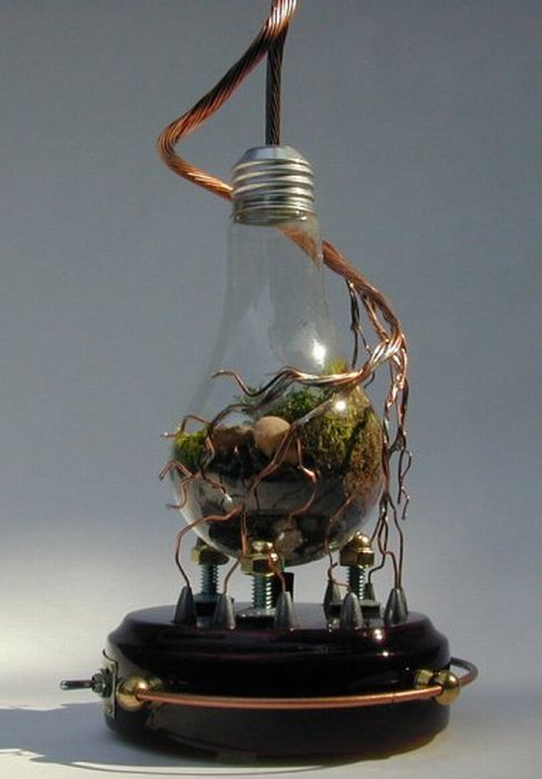 plants art from old light bulbs