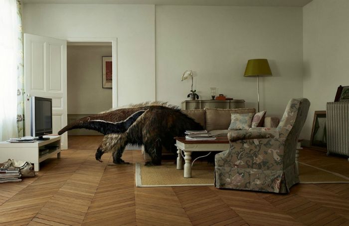 Surreal photography by Jean-Yves Lemoigne