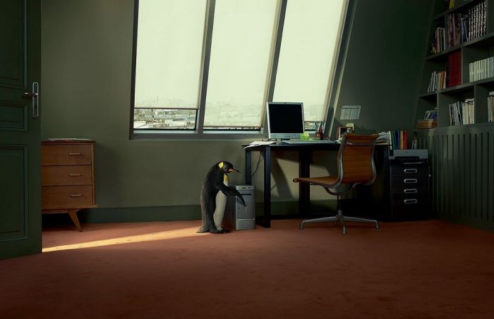 Surreal photography by Jean-Yves Lemoigne