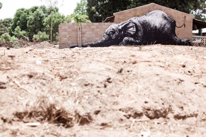 Street art graffiti in Africa