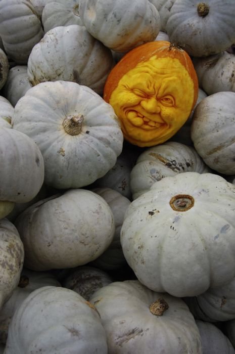 pumpkin carving art