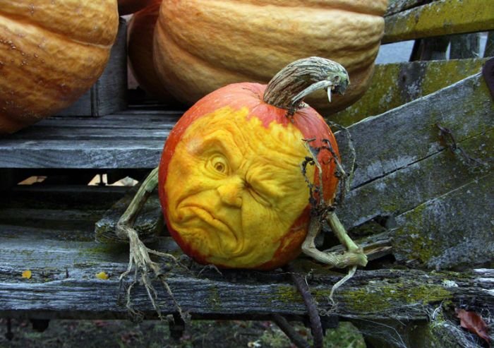 pumpkin carving art