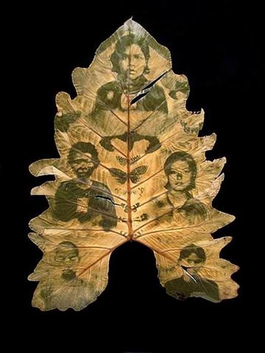 Photographs on leaves by Binh Danh