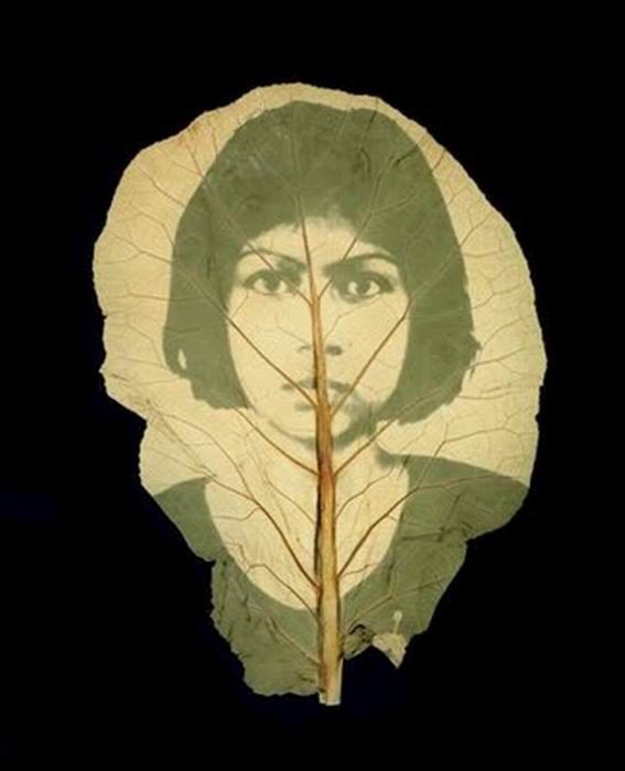 Photographs on leaves by Binh Danh