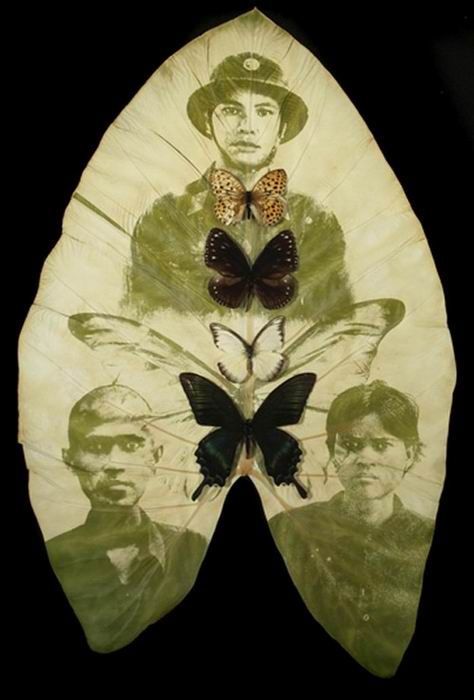 Photographs on leaves by Binh Danh