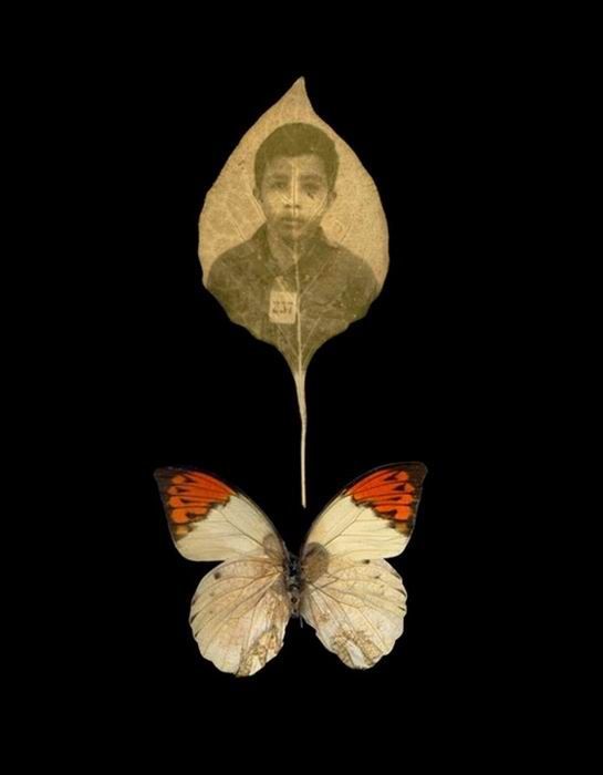 Photographs on leaves by Binh Danh