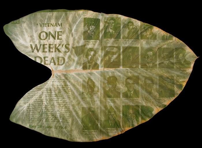 Photographs on leaves by Binh Danh