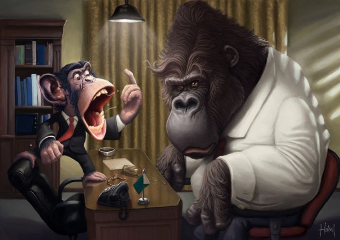 Illustrations by Tiago Hoisel