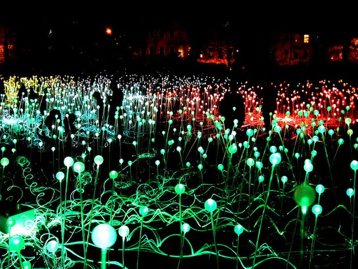 Field of Light by Bruce Munro, Holburne Museum in Bath, England, United Kingdom