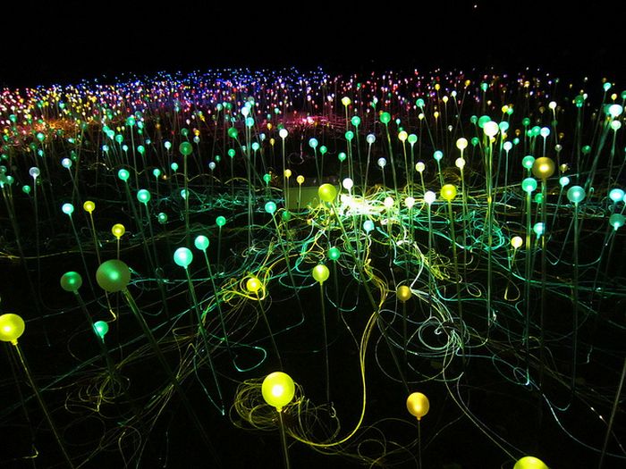 Field of Light by Bruce Munro, Holburne Museum in Bath, England, United Kingdom