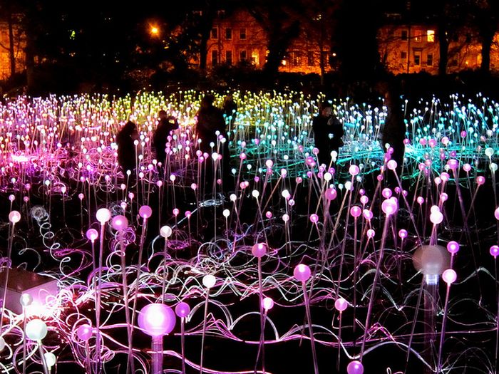 Field of Light by Bruce Munro, Holburne Museum in Bath, England, United Kingdom