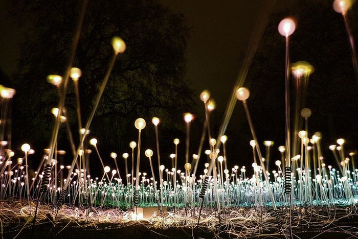 Field of Light by Bruce Munro, Holburne Museum in Bath, England, United Kingdom