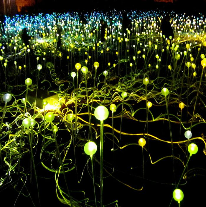 Field of Light by Bruce Munro, Holburne Museum in Bath, England, United Kingdom