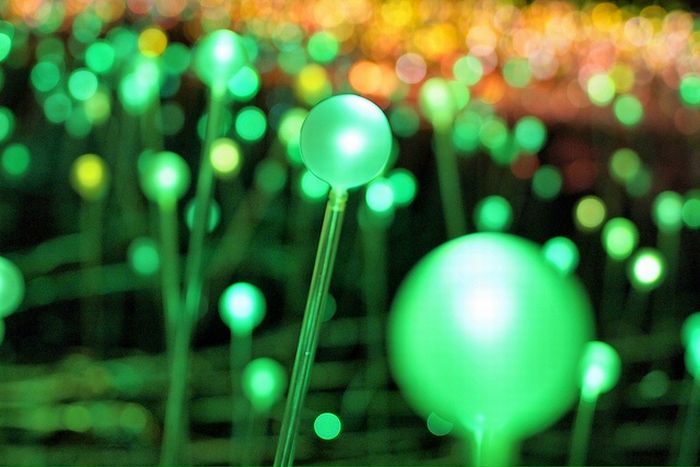 Field of Light by Bruce Munro, Holburne Museum in Bath, England, United Kingdom