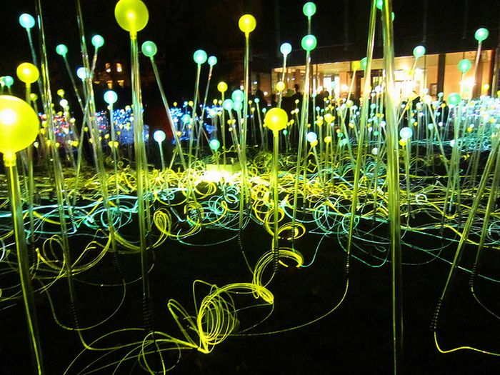 Field of Light by Bruce Munro, Holburne Museum in Bath, England, United Kingdom