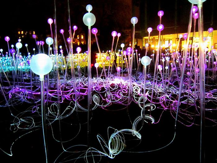 Field of Light by Bruce Munro, Holburne Museum in Bath, England, United Kingdom