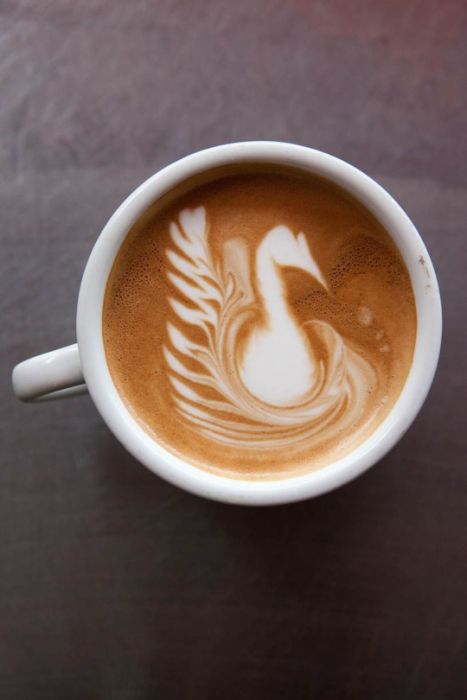 latte art