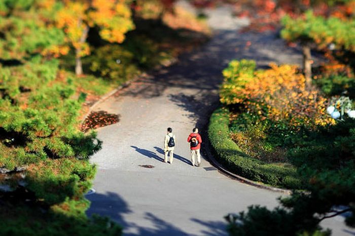 tilt-shift photography