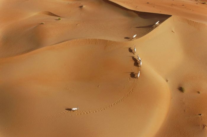 Aerial Photography of Africa by George Steinmetz