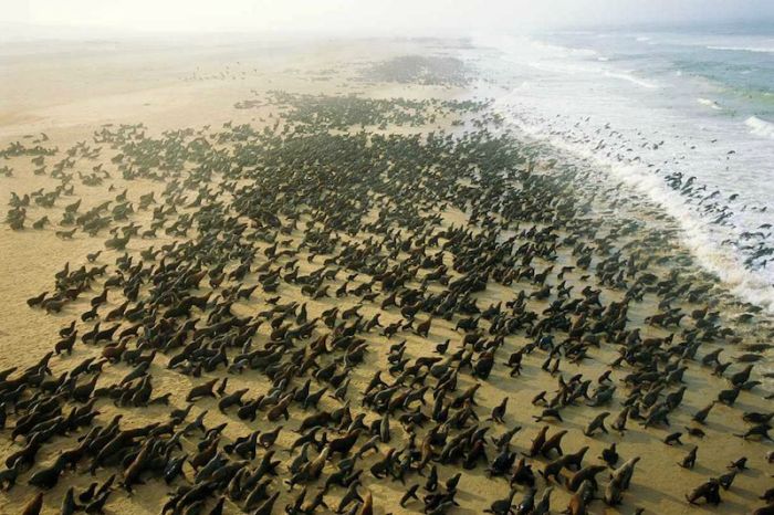 Aerial Photography of Africa by George Steinmetz