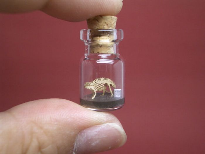 A Tiny World in a Bottle project by Akinobu Izumi