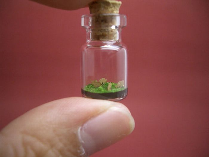 A Tiny World in a Bottle project by Akinobu Izumi