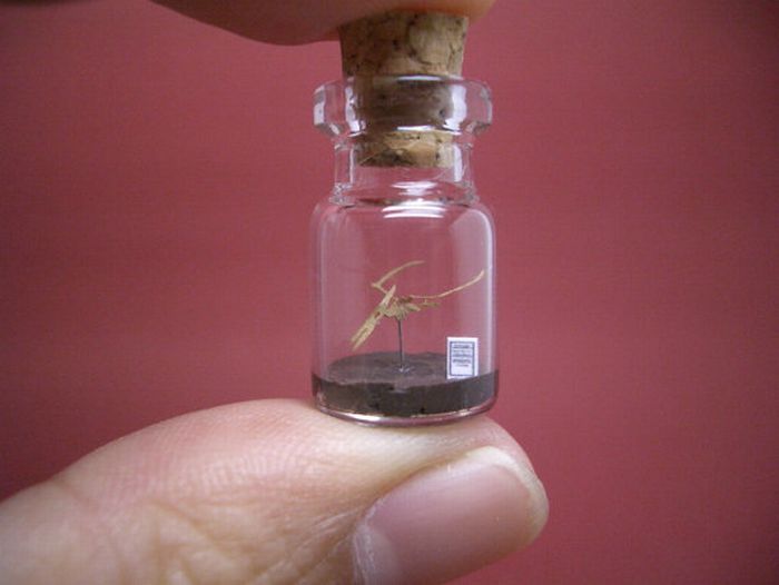 A Tiny World in a Bottle project by Akinobu Izumi