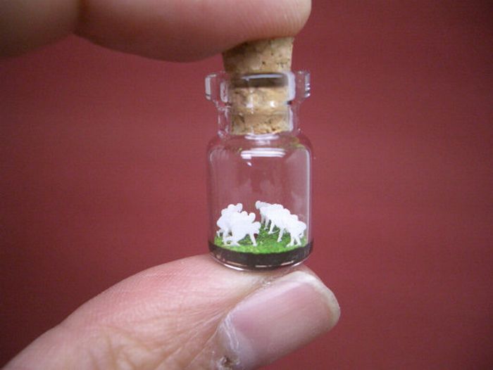 A Tiny World in a Bottle project by Akinobu Izumi