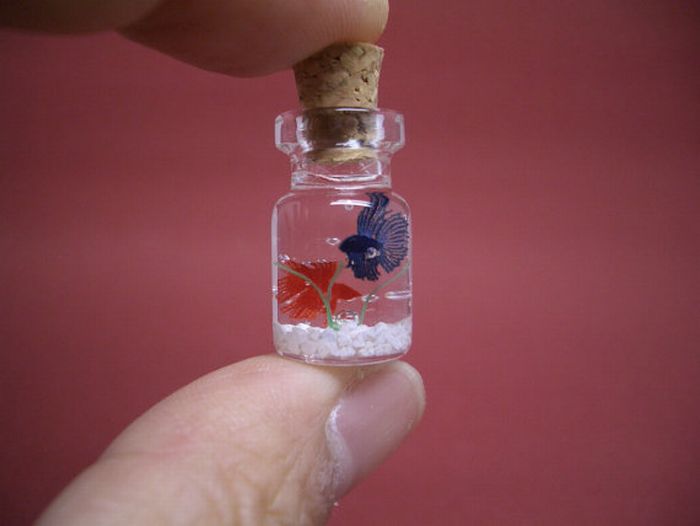 A Tiny World in a Bottle project by Akinobu Izumi