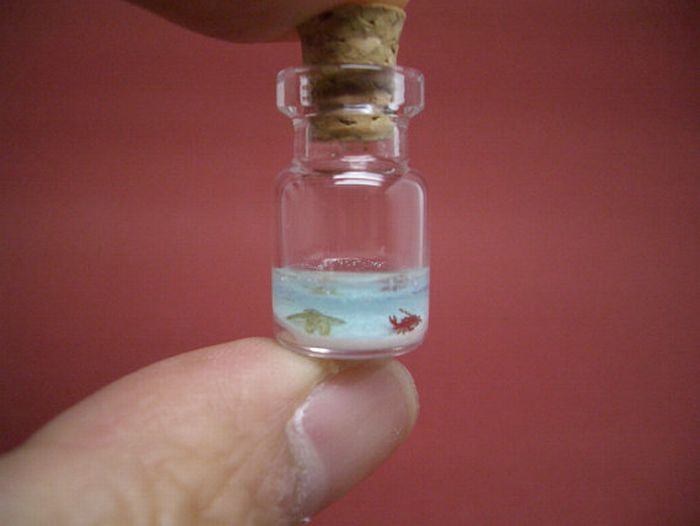 A Tiny World in a Bottle project by Akinobu Izumi