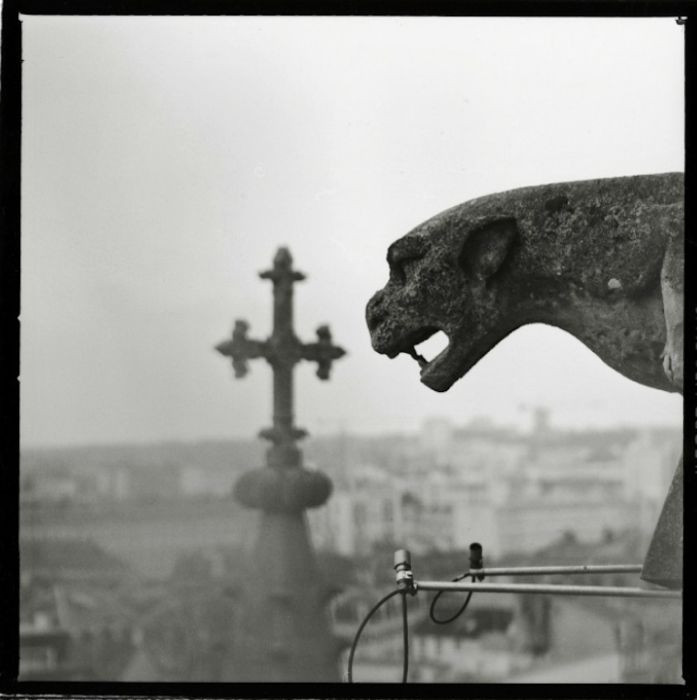 Notre-Dame de Reims by Gérard Rondeau.