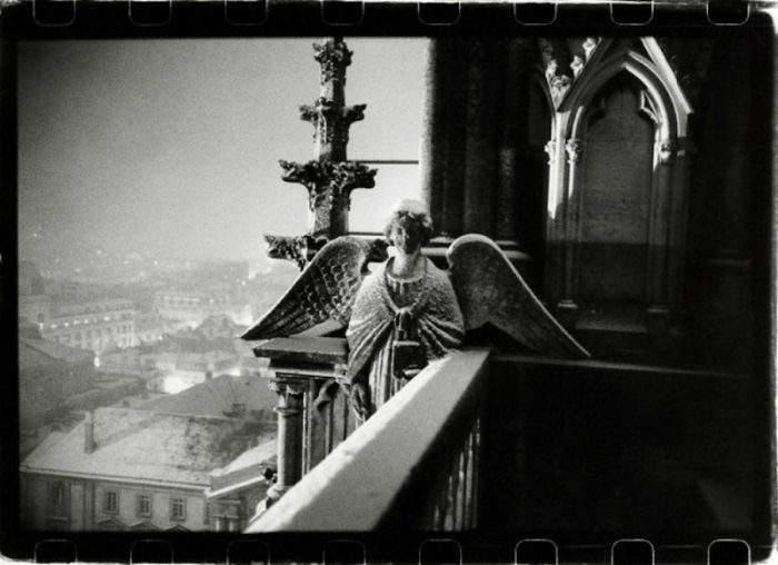 Notre-Dame de Reims by Gérard Rondeau.