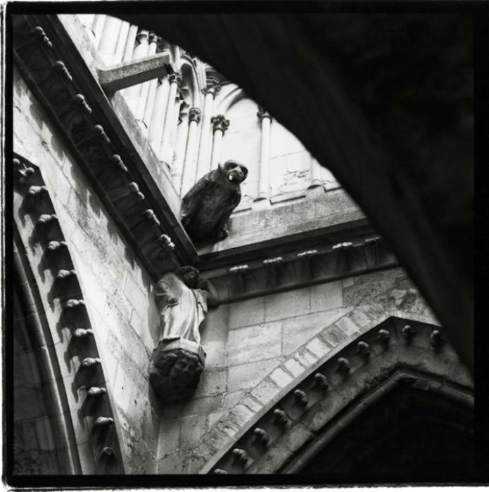 Notre-Dame de Reims by Gérard Rondeau.