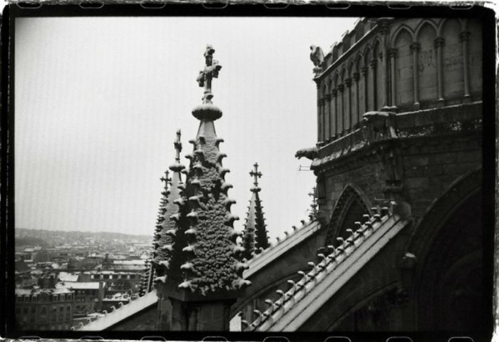 Notre-Dame de Reims by Gérard Rondeau.