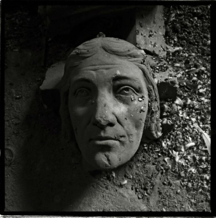 Notre-Dame de Reims by Gérard Rondeau.