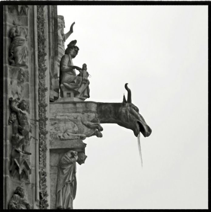 Notre-Dame de Reims by Gérard Rondeau.