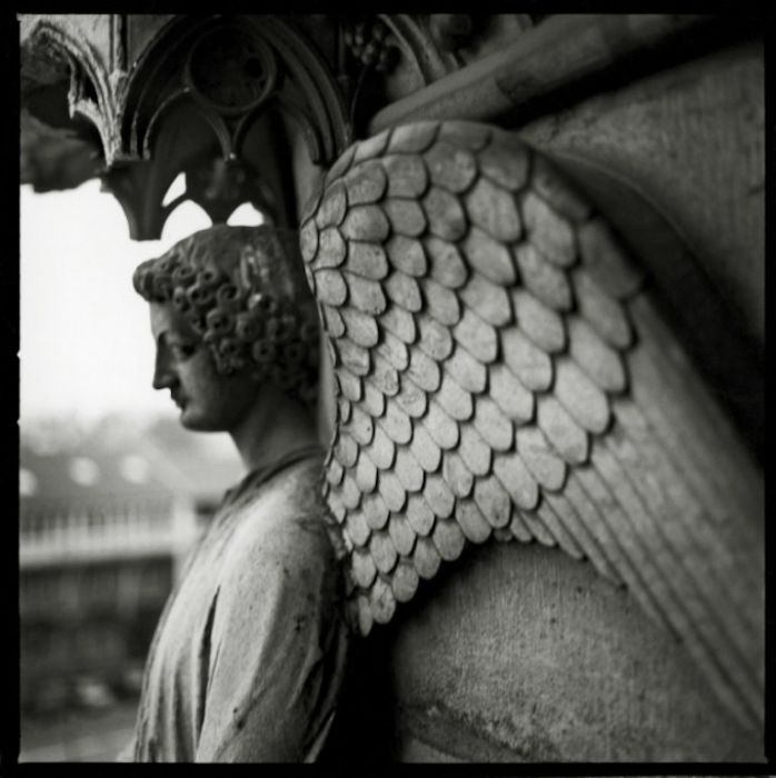 Notre-Dame de Reims by Gérard Rondeau.