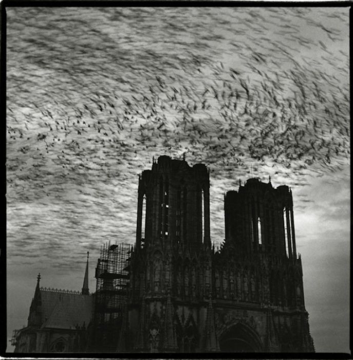 Notre-Dame de Reims by Gérard Rondeau.