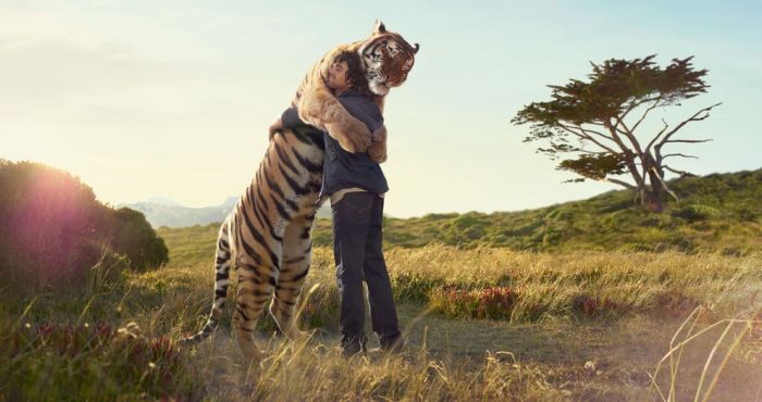 Photography by Frieke Janssens