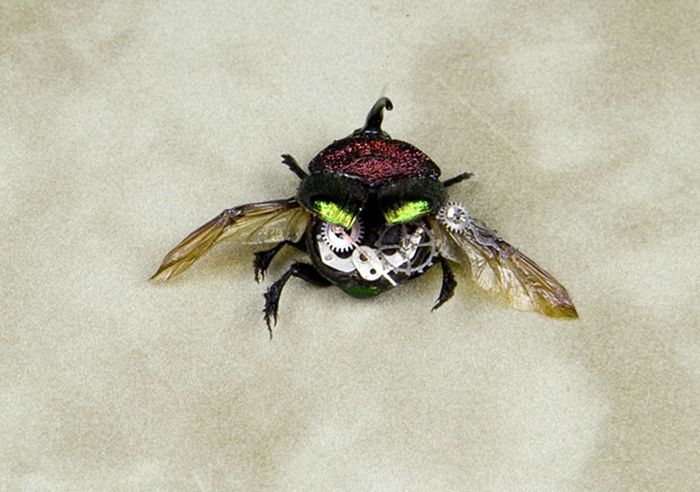 steampunk insect