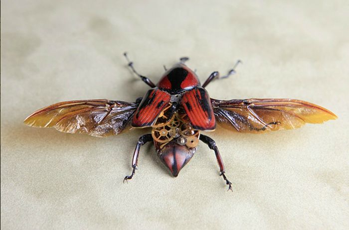steampunk insect