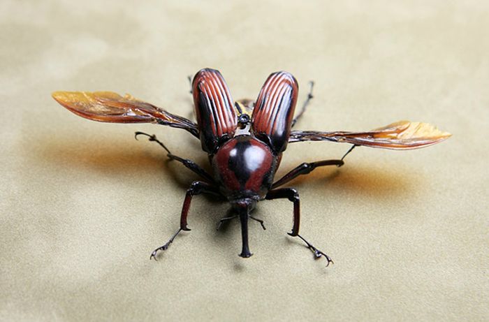 steampunk insect