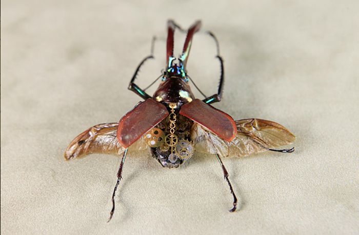 steampunk insect