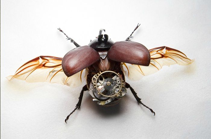 steampunk insect
