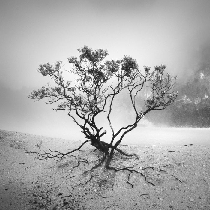 Black and white photography by Hengki Koentjoro