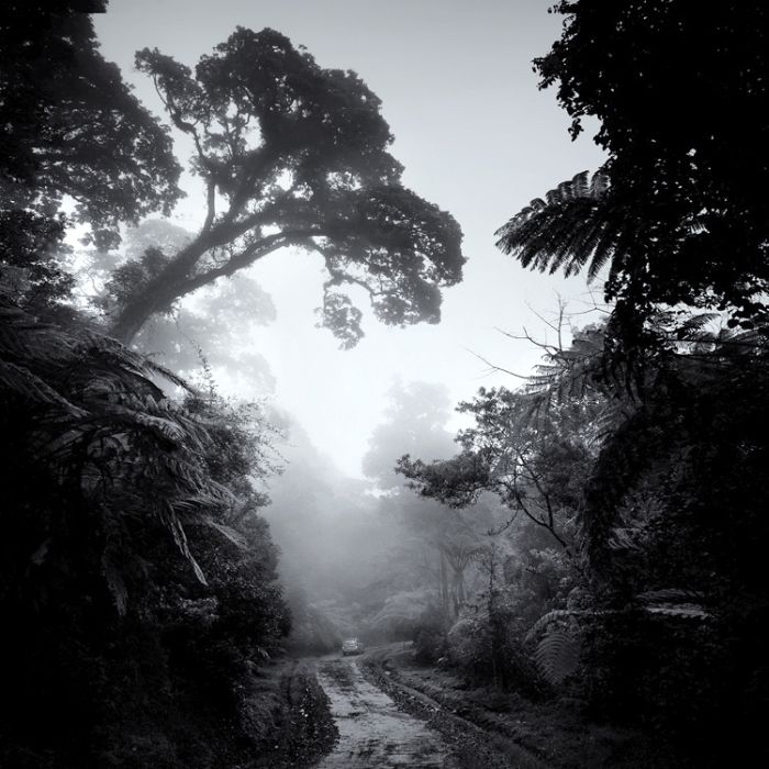 Black and white photography by Hengki Koentjoro