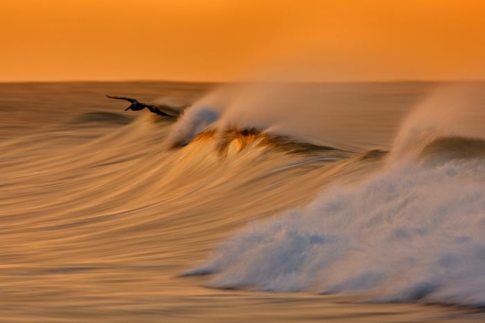 Wave and surfing photography by David Orias