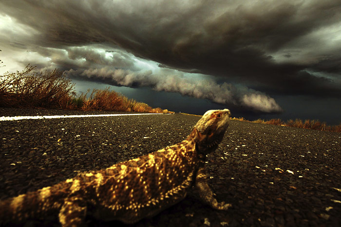 Storm photography by Nick Moir